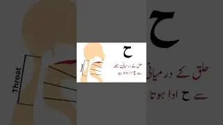 Learn Quran Online | Arabic alphabets | Quran For Kids #learnquran #noraniqaida #tajweed #islam