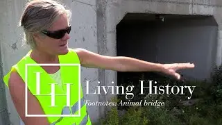 Living History Footnotes: Burwash animal overpass