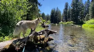 Suttle Lake in in Oregon