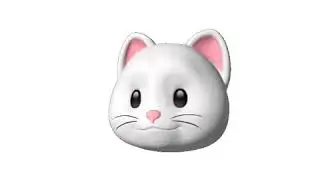 This Cat Is Infected With The Coronavirus