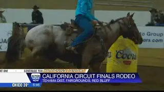 California circuit finals rodeo continues in Red Bluff