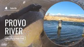 Utah Fly Fishing | Having a GREAT Time on the Provo River!