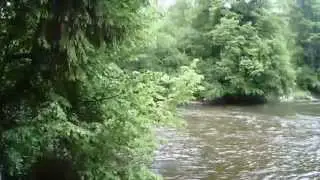 Argen Zusammenfluss bei Pflegelberg