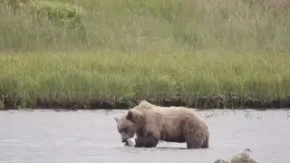 OUTSIDE BEYOND THE LENS - Alaska off the Grid