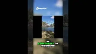 Underwater Graveyard! Police Find Dozens of Cars in Lake ! #clamp #neodymiummagnet #fun