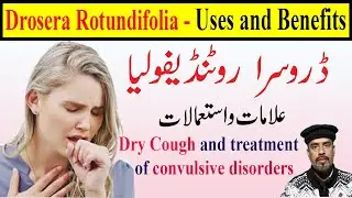 Drosera Rotundifolia 30, 200 homeopathic medicine uses in Hindi | Dry Cough Homeopathic Medicine