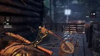 Rise of the Tomb Raider - Kills with bow