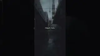 12 октября 2023 г.