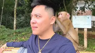 Monkey Kaka always acts like that whenever her meets his dad.
