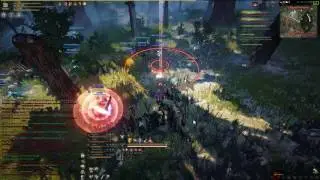 Black Desert Node war, PhantomWolves @ Treeant Forest
