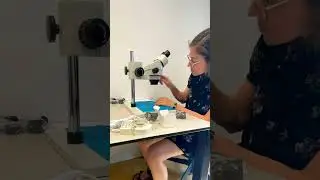 Stereo Microscope Build Time-Lapse