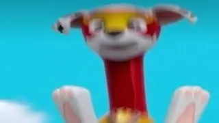 Top 5 Paw Patrol