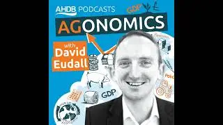 Supply, demand and market trends for UK cereals and oilseeds