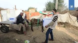 Palestine - Gaza Food Parcels - Crisis Aid