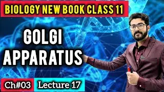 GOLGI APPARATUS CLASS 11 - Packaging Machine of CELL | FSc Biology New Book 2025
