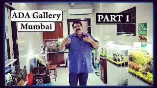 ADA Gallery Mumbai | Still Water Aquatics Part 1 by FSA entertainment
