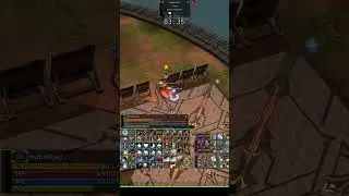 L2 AMERIKA H5 Spell Singer SPS (Mystic Muse) #sps #spellsinger #tournament #lineage2highfive #mmorpg