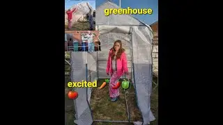 Wilko Walk in PE Greenhouse unboxing and assembly