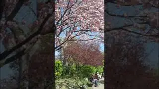 @SETAGAYA PARK, WIEN AUSTRIA
