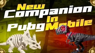 New Roaming Raptor & Baby Bones Companion | Companion Leaks | Pubgm