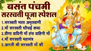 बसंत पंचमी स्पेशल भजन - सरस्वती माता अमृतवाणी, वीणा वादिनी माँ हंस वाहिनी, सरस्वती माता चौपाई व आरती