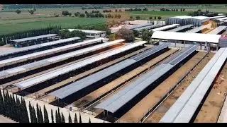 El negocio del establo de cabras m&aacute;s grande de M&eacute;xico