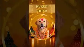 Nepal&rsquo;s Kukur Tihar 2025 | The Beautiful Festival for Dogs & Strays#pets#festival#dog#love#shorts