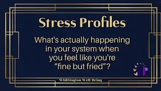 Leadership Stress + Human Design Seminar - What's your STRESS PROFILE?