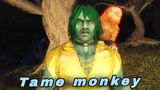 Ark Survival Evolved Mobile Tame Mesopithecus monkey 🙉 Monkey!(How To Tame Mesopithecus)