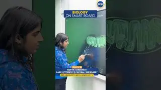 Interactive Smart Board Price | Budget AI Smart Board | Cheapest Interactive Flat Panel 🔥