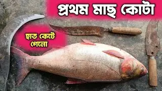 Frist Time Fish Cutting At Home | Fish Cutting | Big Fish Cutting | Fishing | Big fish |
