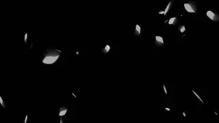 Leaf Particles Matte Effects Overlay & motion graphic free download 4K #1  Help Me by Subscribe