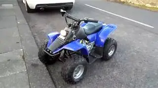 kazuma Meerkat 50cc 4 stroke quad walkaround