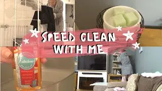 FIVE MINUTE SPEED CLEAN | CLEAN WITH ME ✨