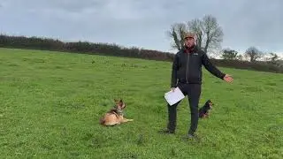 The Budget my thoughts... Farmers need to get proactive and organise county groups EP 343