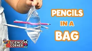 EXPERIMENT: Pencils in a Bag