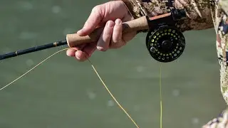 All About Fly Lines