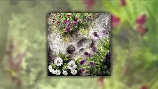 Birdspotter - A Garden Everywhere You Go [FULL ALBUM] ZT119