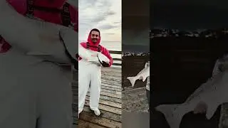 Поломка рыболовных снастей Big Red Drum #шорты