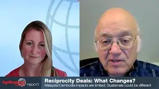 What to Know About Reciprocal Tariffs