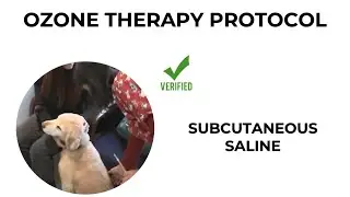 How to inject ozone saline into a dog