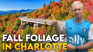 Charlotte NC In Autumn | FALL COLORS, Local EVENTS & Real Estate Insights | Living In Charlotte NC