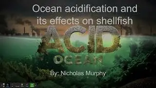 Ocean Acidification and its affect on shellfish