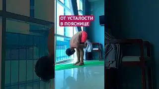 ОТ УСТАЛОСТИ В ПОЯСНИЦЕ несколько упражнений #yogatime
