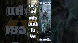 หมาป่าเชอร์โนบิลต้านมะเร็งได้จริงเหรอ? 🐺☢️