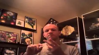 Stakeland REview