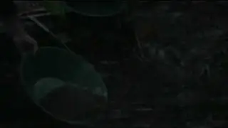 Schneider Creek.mpeg