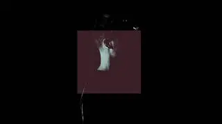 Nico Casal - I'm Not Angry Yet (Official Audio)
