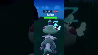 Talk about a SHINY and then you get a SHINY