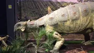 Dino Jaws at Centre for Life, Newcastle